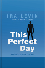 This Perfect Day