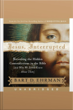 Jesus, Interrupted