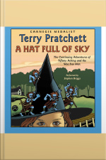 A Hat Full of Sky