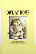 Owl at Home
