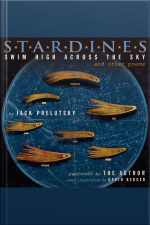 Stardines Swim High Across the Sky