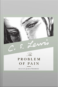 The Problem of Pain