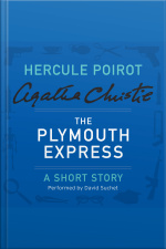 The Plymouth Express