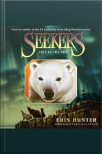 Seekers #5: Fire in the Sky