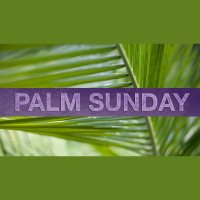 Palm Sunday / Confirmation 2025