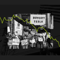 The movement to take down Tesla