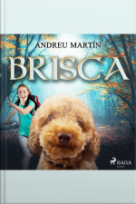 Brisca
