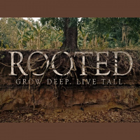 1-11-15 Rooted Week 1 - Audio
