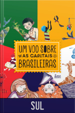Um voo sobre as capitais brasileiras - Sul