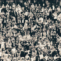 Ofsajd #417: Zelenje