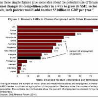 Who Has the Most and Best SMEs?