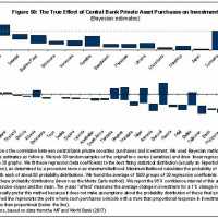 Which Central Banks Private Securities Purchases Would Most Goose Investment?
