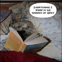 The New 50 Shades