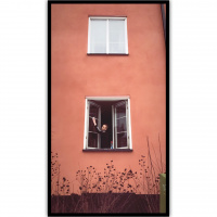 186: Hemma med Nikko