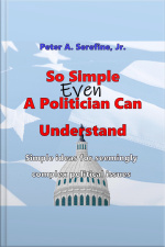 So Simple Even A Politician Can Understand: Simple Ideas For Seemingly Complex Political Issues