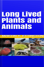 Long Lived Plants And Animals