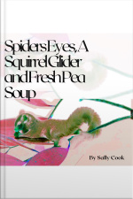 Spiders Eyes, A Squirrel Glider And Fresh Pea Soup