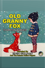 Old Granny Fox