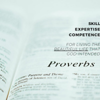 The Beautiful Life | Proverbs - Conflict