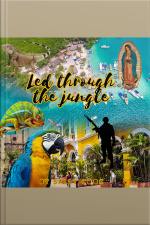 Led Through The Jungle!