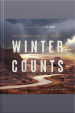 Winter Counts