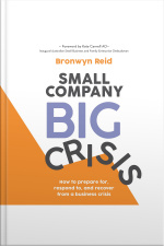 Small Company Big Crisis: How To Prepare For, Respond To, And Recover From A Business Crisis