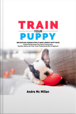 Train Your Puppy: Behavior Dog Training Steps To Raise A Perfect Puppy House – Positive Reinforcement Dog House Training Guide, Dog Brain Games And Tricks, House Training Revolution For Beginners