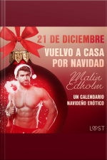 21 De Diciembre: Vuelvo A Casa Por Navidad - Un Calendario Navideño Erótico