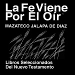 Mazateco, Jalapa De Diaz Biblia (juan) 1987 Bible League International - Mazateco, Jalapa De Diaz Bible (john)