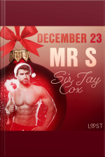 December 23: Mr S – An Erotic Christmas Calendar