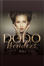 Dodo Wonders