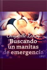 Buscando Un Manitas De Emergencia - Un Relato Corto Erótico