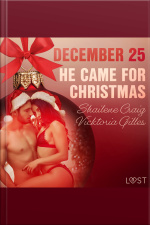 December 25: He Came For Christmas - An Erotic Christmas Calendar