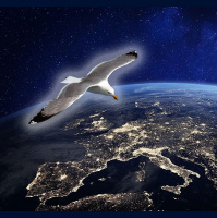 The Albion Roar - 31st May 2023 with guests Andy Bass  Marcus Hancocks