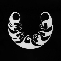 The Albion Roar - 4th March 2025 with guest Kieran Maguire