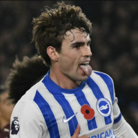 The Albion Roar - 13th November 2024 with guests Brian Owen and Andy Bass