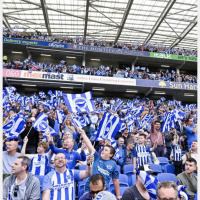 The Albion Roar - 16th August 2023 with guest Brian Owen