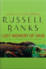 Lost Memory of Skin