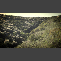 The Two Towers Part 17: Concerning a Failure of Communication