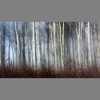 RotK Part 14: Concerning The Notion That It Was A Dream