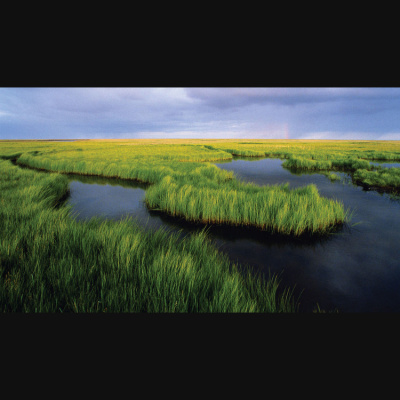 Talking Tolkien - The Extra Curricular