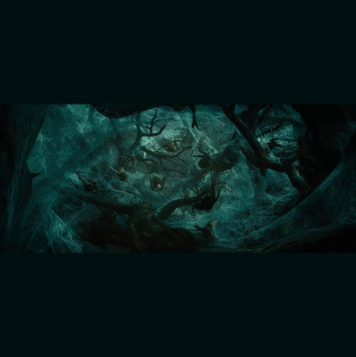 Talking Tolkien - The Extra Curricular