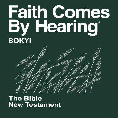 Bokyi Bible (non-dramatized)