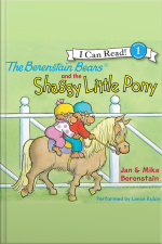 The Berenstain Bears and the Shaggy Little Pony