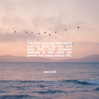 That You May Believe Part Three: The Lawyer, The Light and The Life