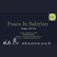 Peace in Babylon