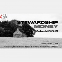 MONEY Stewardship