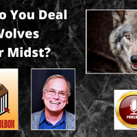 EP 172: How To Deal With Wolves In Your Midst