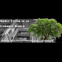 Godliness in God’s Church