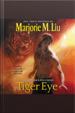 Tiger Eye: The First Dirk  Steele Novel